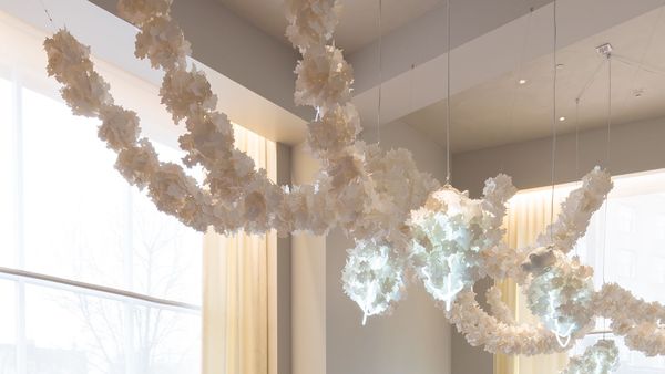21c Museum Hotel, Durham interior