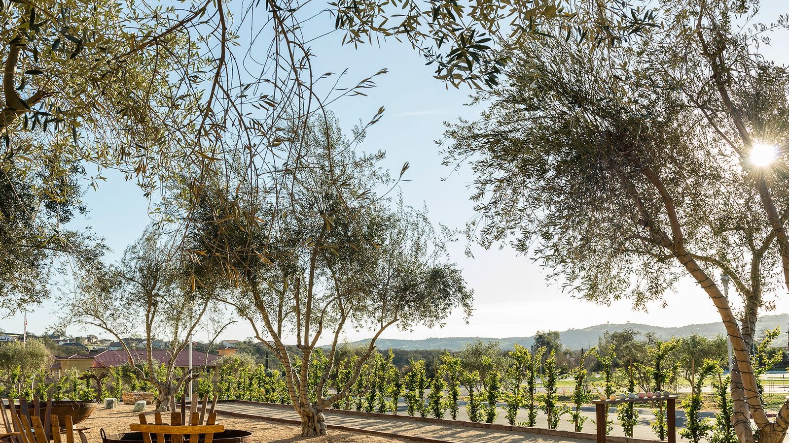 Allegretto Vineyard Resort interior