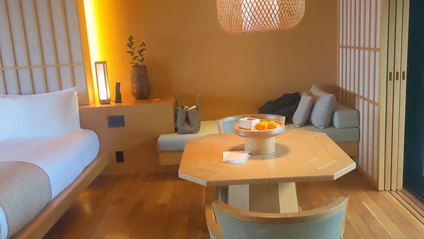 Amanemu interior