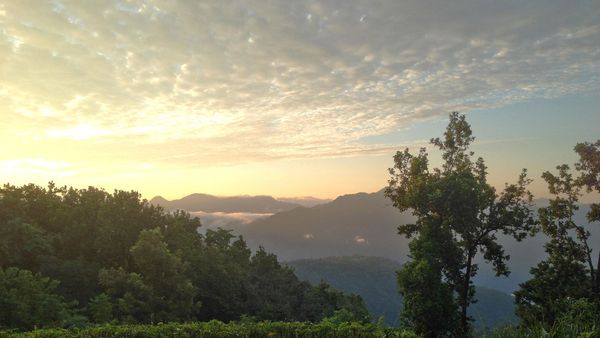 Ananda in the Himalayas interior