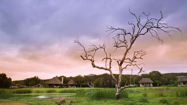 andBeyond Phinda Private Game Reserve interior