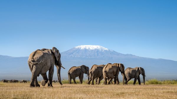 Angama Amboseli interior