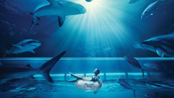 Atlantis, Paradise Island interior