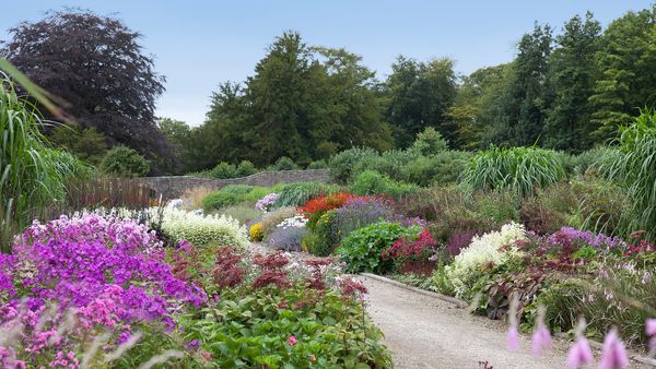 Ballyfin Demesne interior