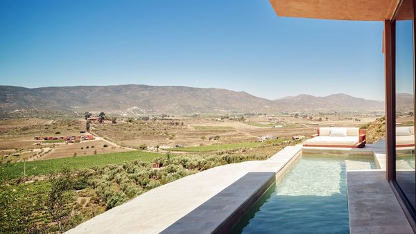 Banyan Tree Veya Valle de Guadalupe interior
