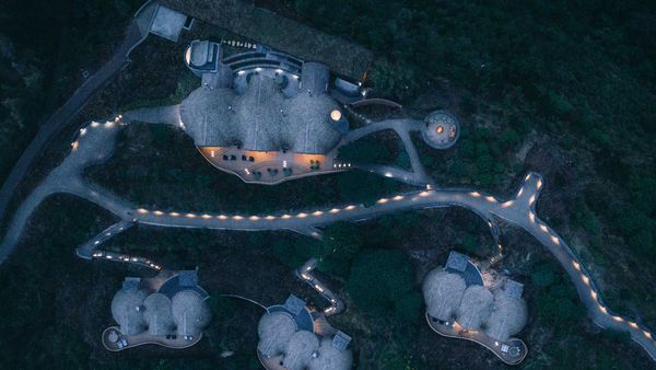 Bisate Reserve, Rwanda: First In interior