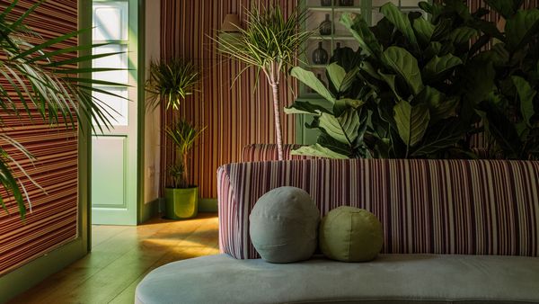 César Lanzarote interior