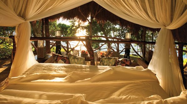 Dolphin Island interior