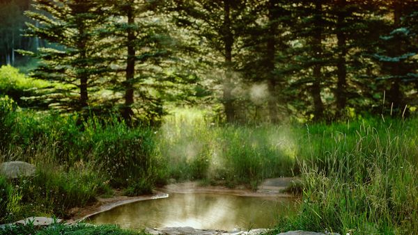 Dunton Hot Springs interior