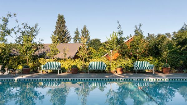 First In: Le Petit Pali St. Helena interior
