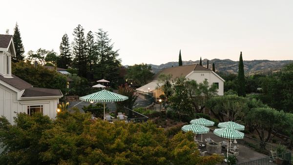 First In: Le Petit Pali St. Helena interior