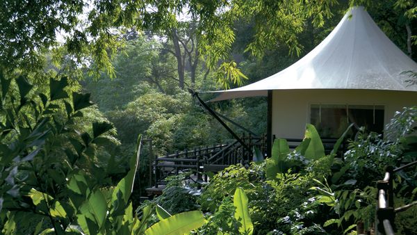 Four Seasons Tented Camp Golden Triangle interior