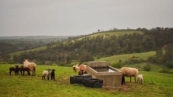 Fowlescombe Farm interior