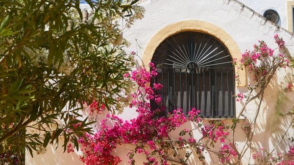 Hacienda de San Rafael interior