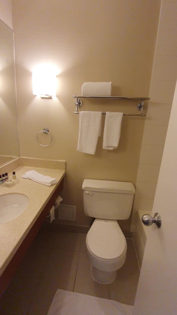 Chelsea Hotel Toronto interior