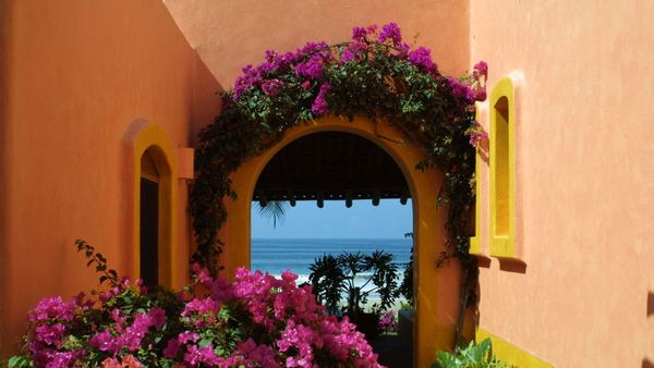 Las Alamandas interior