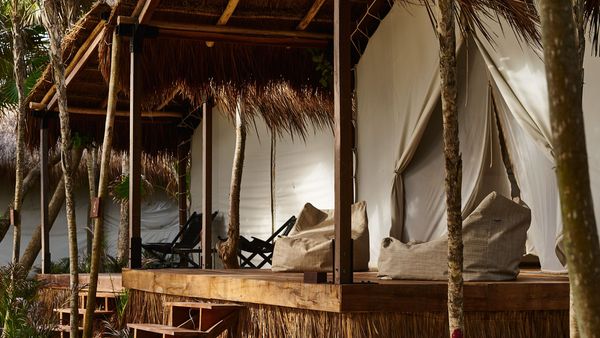 Our Habitas interior