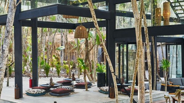 Our Habitas interior