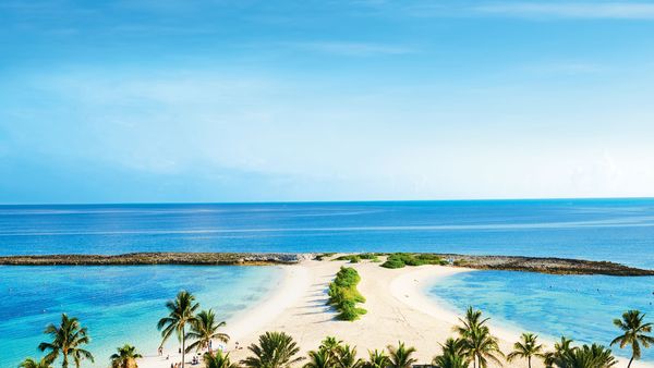 The Cove at Atlantis, Paradise Island interior