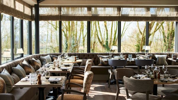 The Fish Hotel & Retreat interior