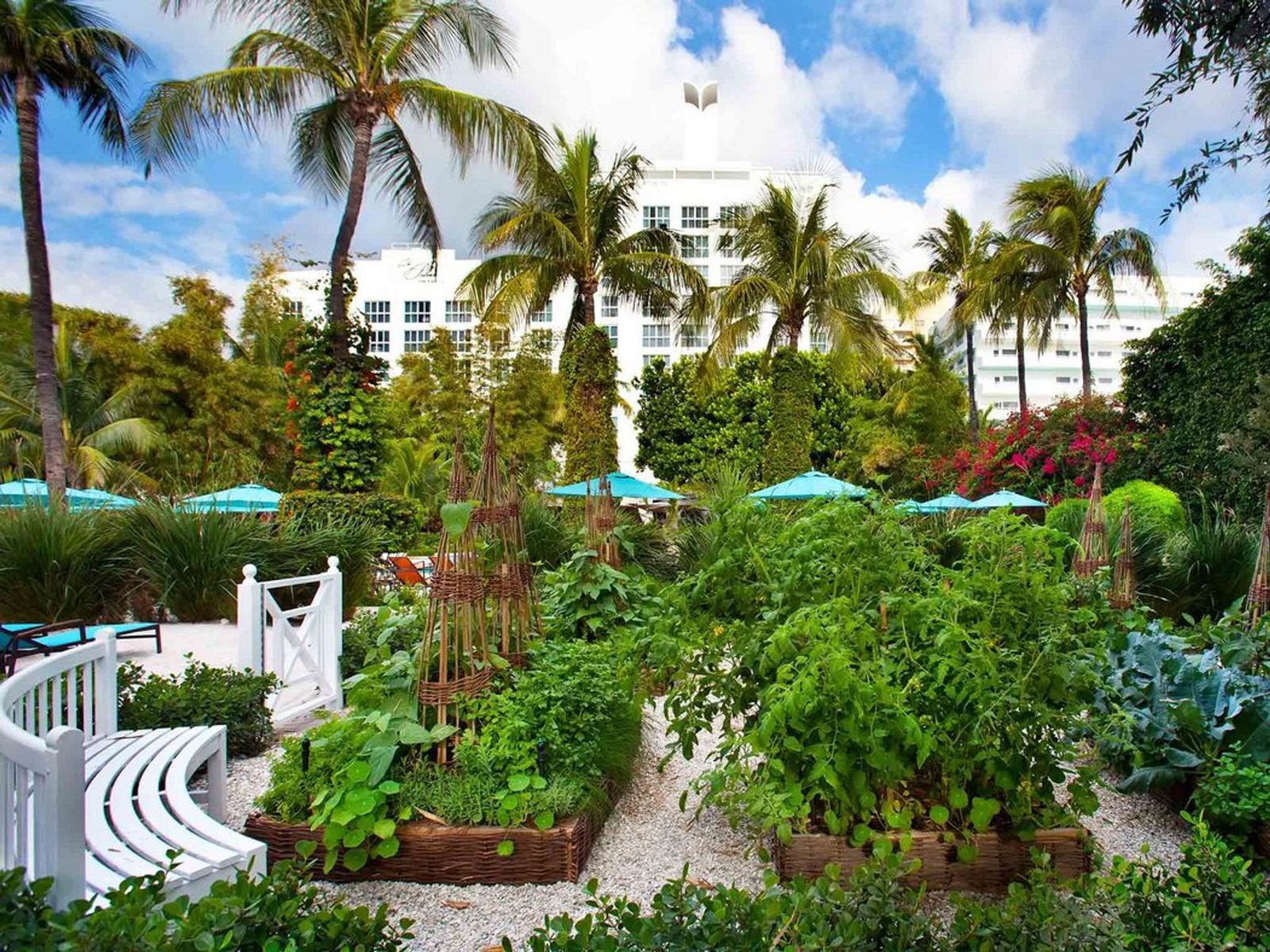 The Palms Hotel & Spa exterior view
