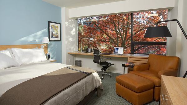 The Study at Yale interior