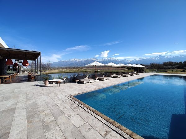 The Vines Resort & Spa interior