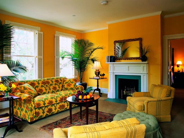 The Willcox interior