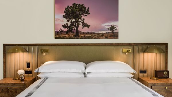 Thompson Palm Springs: First In interior