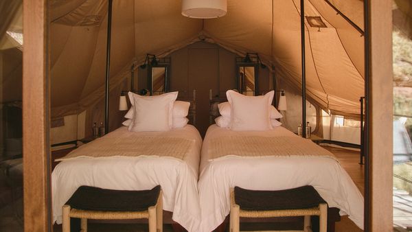 Tinajani: First Guest interior