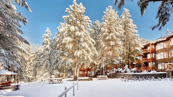 Welcomhotel by ITC Hotels, Pine N Peak, Pahalgam interior