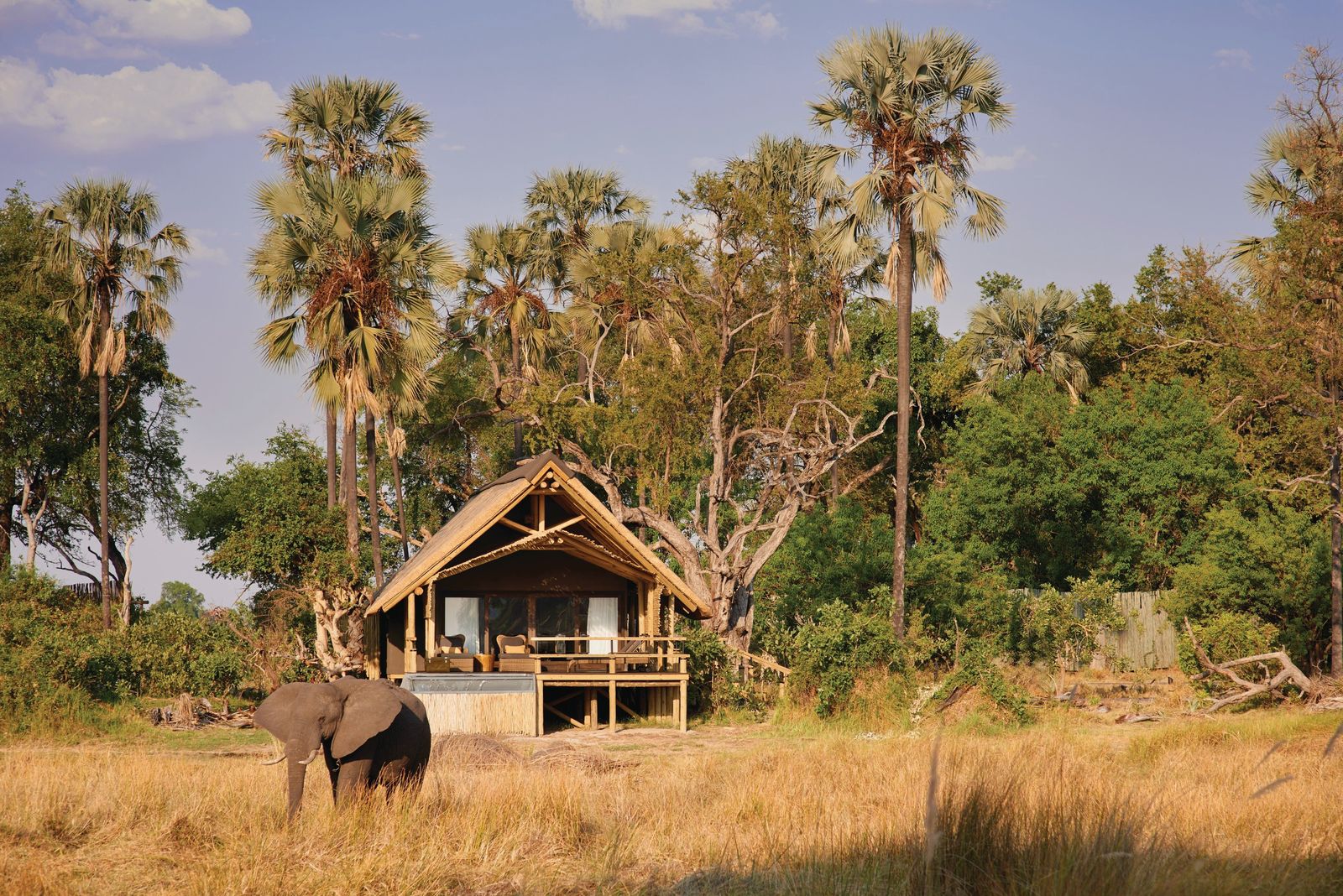 Belmond Safaris (Eagle Island Lodge)