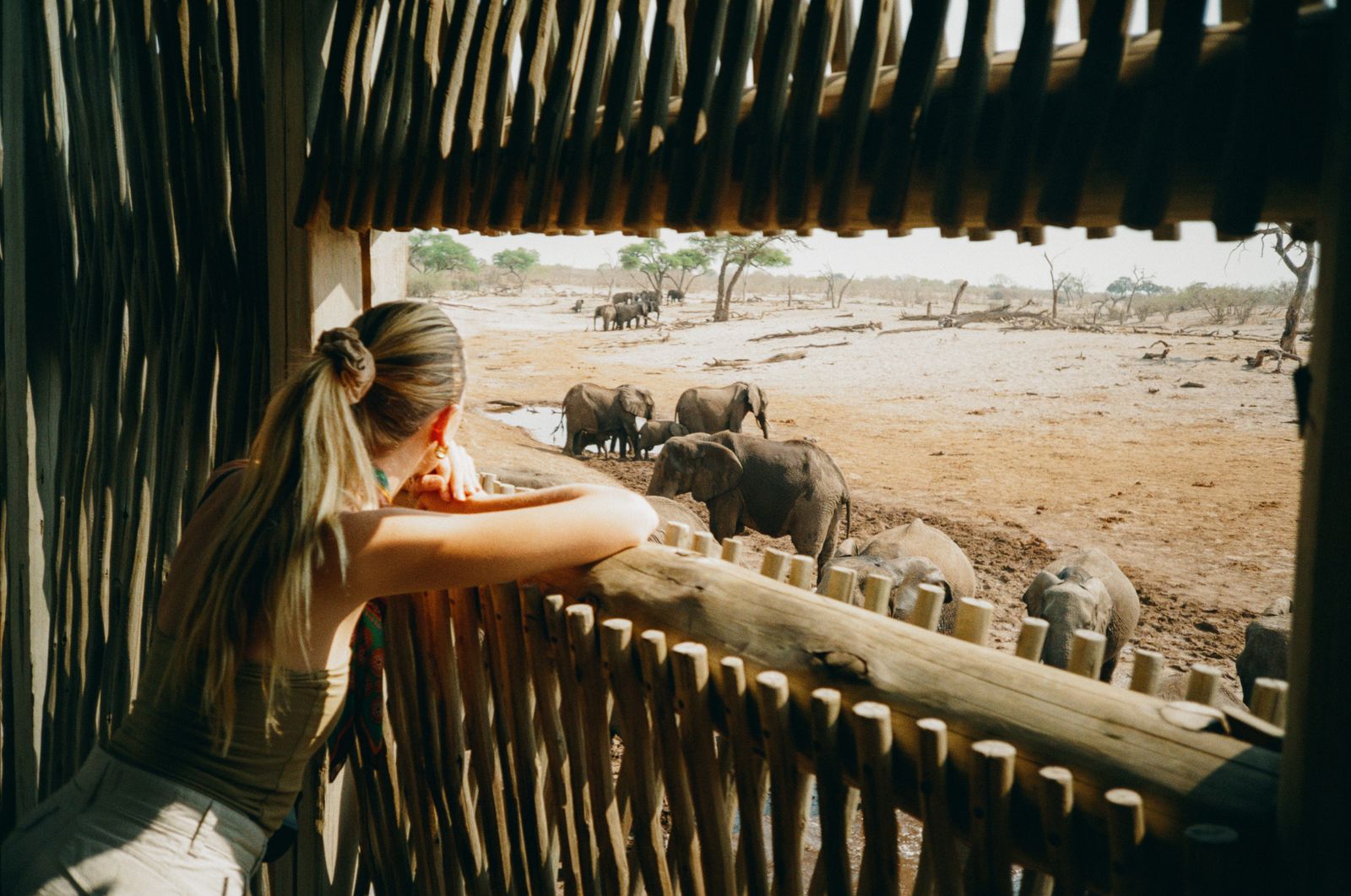 Belmond Safaris (Belmond Savute Elephant Lodge)